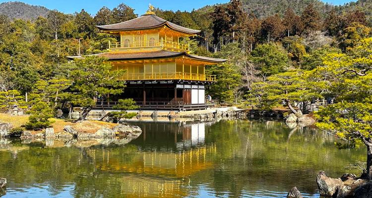 Le meilleur du Japon : De Tokyo à Osaka (visite guidée privée) - Odynovo 4