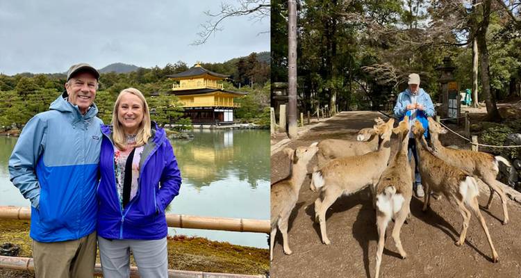 Le meilleur du Japon : De Tokyo à Osaka (visite guidée privée) - Odynovo 9