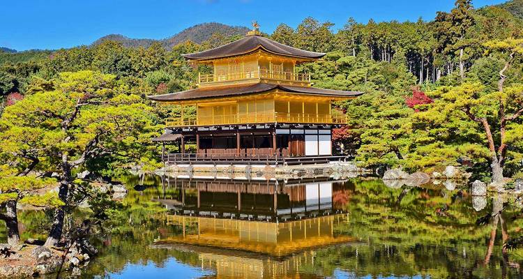 Circuit gastronomique au Japon (sur mesure & surtout privé) - Odynovo 9