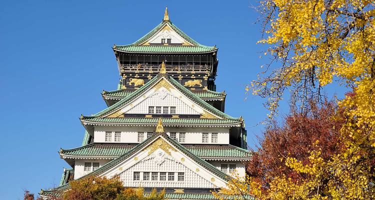 Circuit gastronomique au Japon (sur mesure & surtout privé) - Odynovo 8