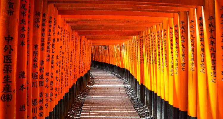 Circuit gastronomique au Japon (sur mesure & surtout privé) - Odynovo 7
