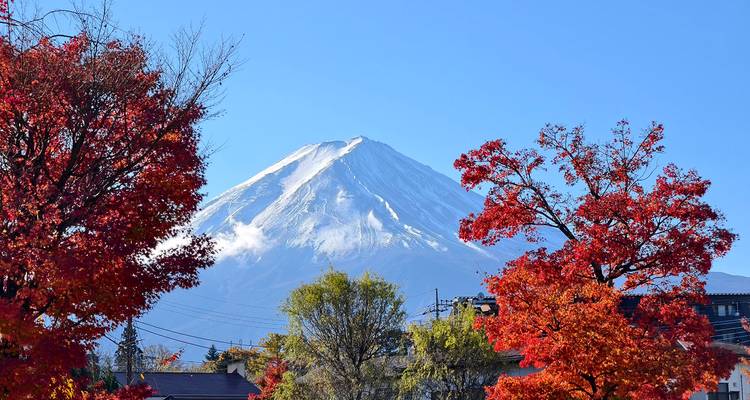 Ultimate Japan Honeymoon (Private Tailored) - Odynovo 10