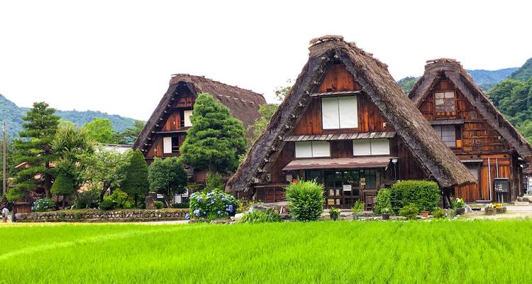 Alps Hiking Tour of Japan (Custom Private) - Odynovo 10