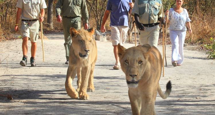 Senegal, Enter Africa 8 days - 7 nights - Africa For Tourism 7