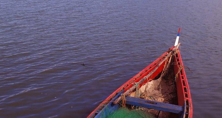 Senegal, Enter Africa 8 days - 7 nights - Africa For Tourism 8