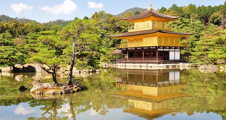 Cherry Blossoms of Japan Tour(Tailor-Made Private) - Odynovo 8