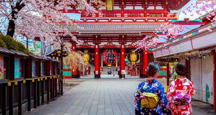 Cherry Blossoms of Japan Tour(Tailor-Made Private) - Odynovo 6