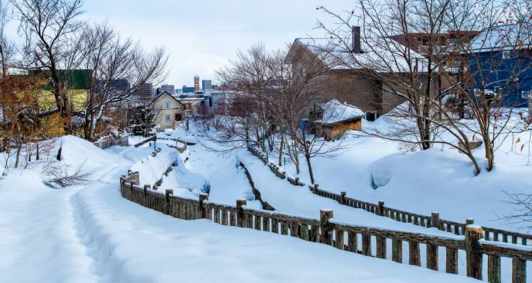 Explora Japón: Mono de Nieve y Onsen (Guía Privada) - Odynovo 7