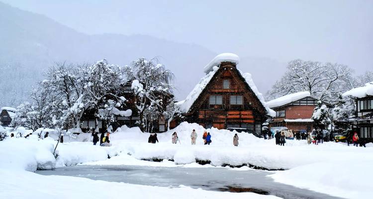 Explora Japón: Mono de Nieve y Onsen (Guía Privada) - Odynovo 2