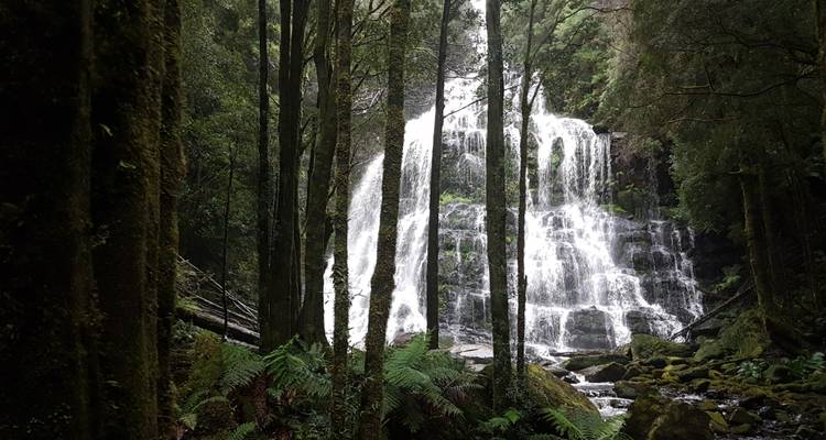 Circuito a la montaña Cradle y la isla Bruny - Wild Tasmania Tours 4