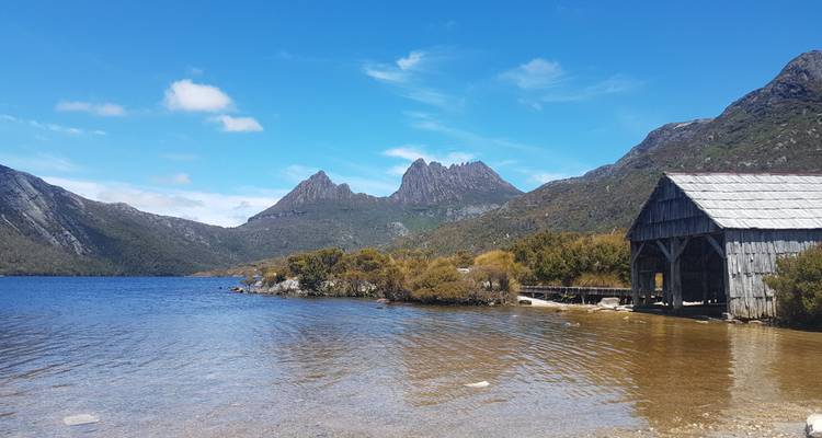 Circuito a la montaña Cradle y la isla Bruny - Wild Tasmania Tours 6