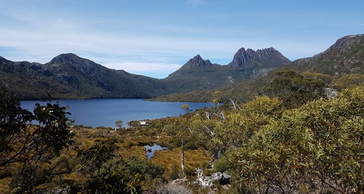 Circuito a la montaña Cradle y la isla Bruny - Wild Tasmania Tours 7