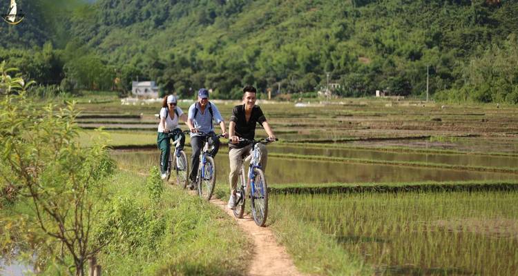 Group of people cycling through rice paddies.