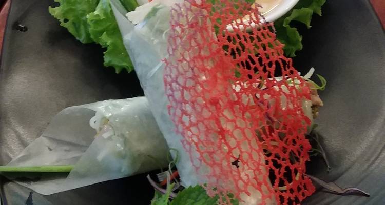 Delicaat gerangschikt Vietnamees eten met verse kruiden op een donker bord.