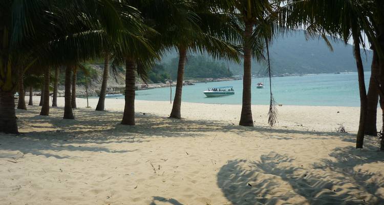 Palmbomen langs een zandstrand met turquoise water en een boot in de verte.