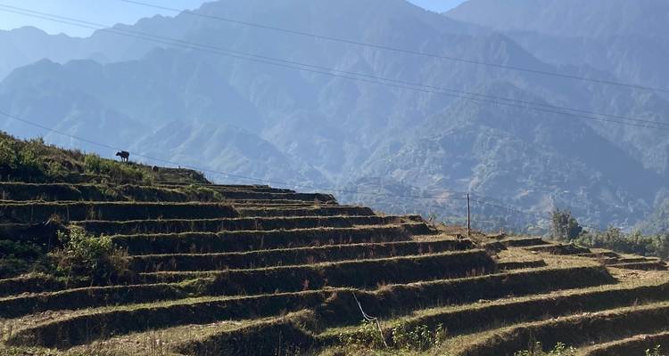 Le Vietnam à travers vos yeux - 16 jours - Indochina Today Travel 3