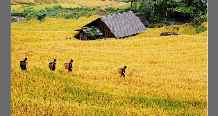 11 jours à la découverte du Vietnam - Indochina Today Travel 6