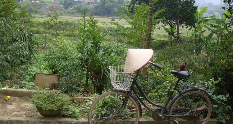 Voyage de 8 jours au Vietnam toutes activités confondues - Indochina Today Travel 2