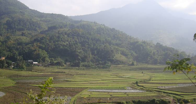 Voyage de 8 jours au Vietnam toutes activités confondues - Indochina Today Travel 8