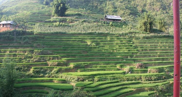 5 Días Sapa Pueblo Étnico y Fasipán - Indochina Today Travel 8