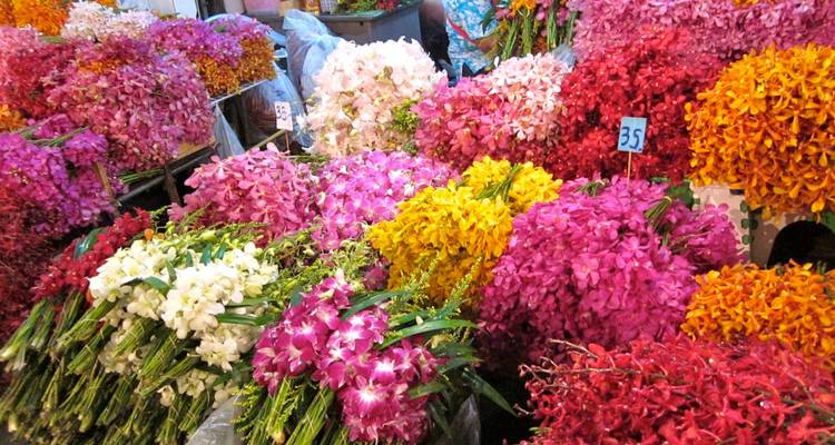 Lo mejor de Tailandia en 10 días - Todas las actividades - Indochina Today Travel 7