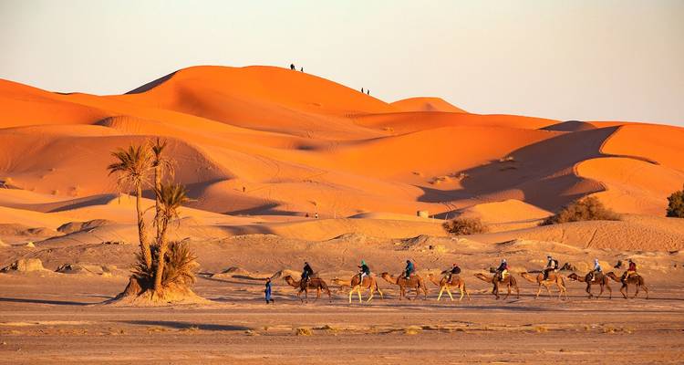Caravane de chameaux traversant les dunes de sable au coucher du soleil.