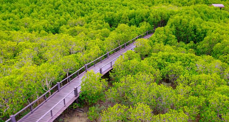 Hua Hin Discovery 3 Days - Private Tour - Tour East Thailand 4