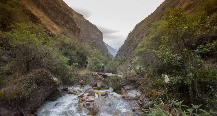 Randonneurs debout près d'un ruisseau qui coule dans une vallée luxuriante.