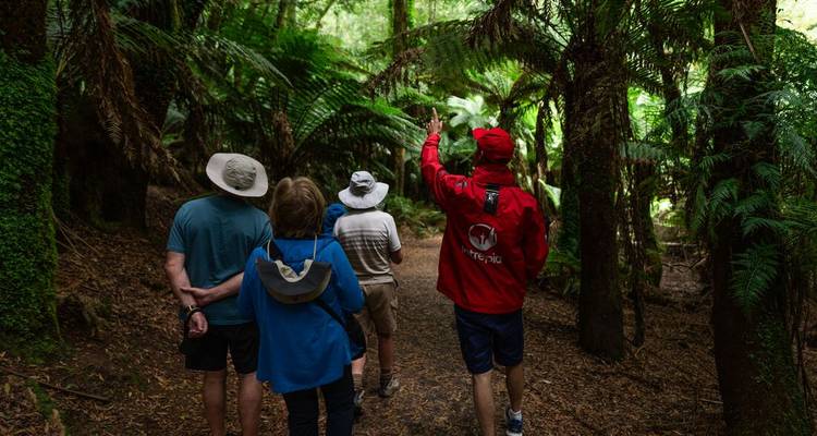 Lo mejor de Tasmania (including Puerto Huon) - Intrepid Travel 7