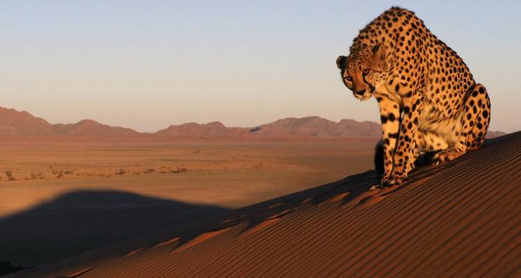 L'Afrique sous son meilleur jour - DIAMIR Erlebnisreisen 3