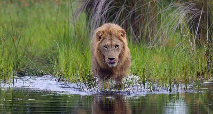 L'Afrique sous son meilleur jour - DIAMIR Erlebnisreisen 8