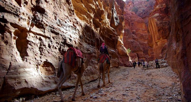 Discover Jordan: Dead Sea & Wadi Rum (Private Tailored) - Odynovo 9
