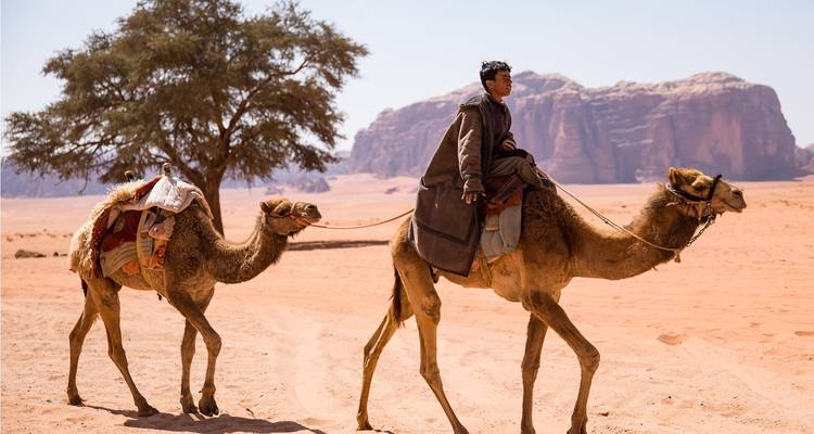 Discover Jordan: Dead Sea & Wadi Rum (Private Tailored) - Odynovo 3