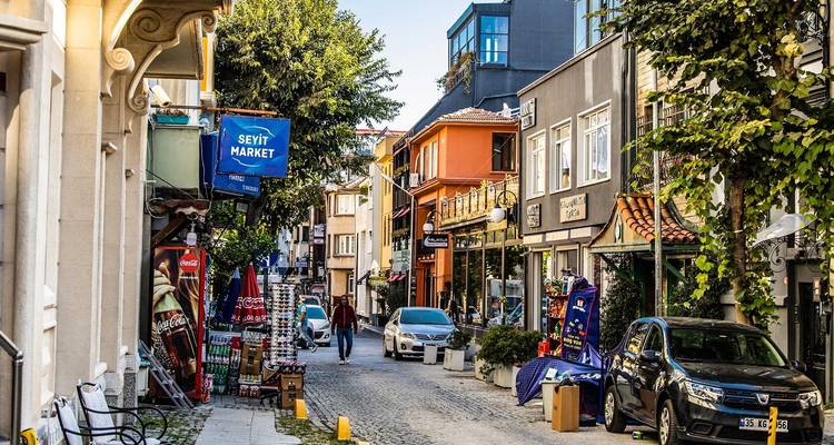 La charmante Istanbul (privé sur mesure) - Odynovo 6
