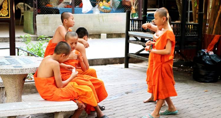 Le nord de la Thaïlande : Culture, communautés et éléphants (privé sur mesure) - Odynovo 4