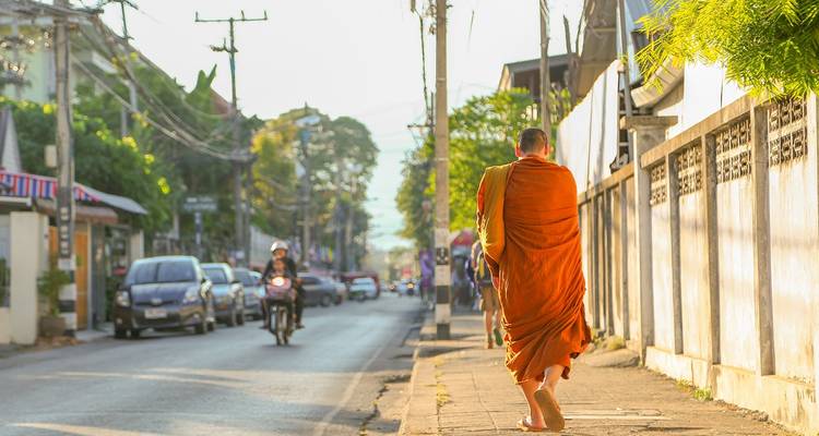 Le nord de la Thaïlande : Culture, communautés et éléphants (privé sur mesure) - Odynovo 7