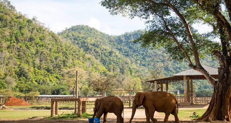 Thai Treasures: From Bangkok to Chiang Mai (Private Tailored) - Odynovo 3
