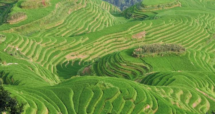 China fina - 13 días - On The Go Tours 4