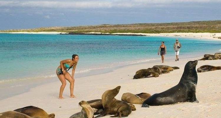 3-Day Tour in 360 Degrees San Cristobal Island - PERFECT DESTINY 1