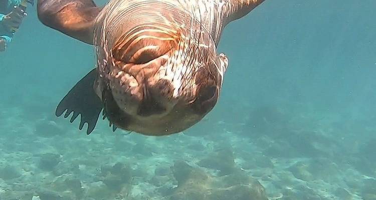 8 Days Galapagos Experiences "Santa cruz and San Cristobal" - PERFECT DESTINY 2