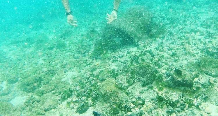 8 Days Galapagos Experiences "Santa cruz and San Cristobal" - PERFECT DESTINY 4