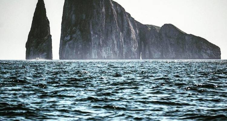 8 Days Galapagos Experiences "Santa cruz and San Cristobal" - PERFECT DESTINY 6