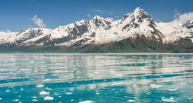 Excursionismo por la costa y los glaciar es de Alaska salvaje - Wildland Trekking 3