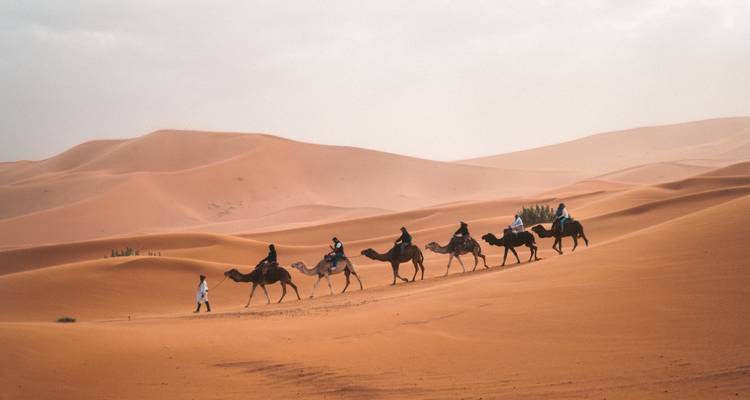Kamelenkaravaan die door de woestijnduinen trekt.