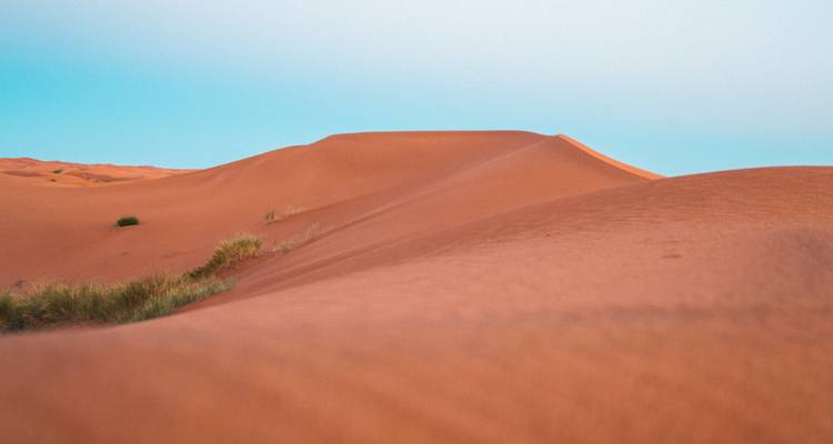 Des dunes de sable rouge et lisses aux crêtes douces s'étendent sous un ciel pastel dégagé dans le désert.