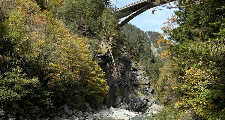 Río que atraviesa un bosque denso con un puente por encima.