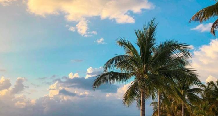 Romance à la plage et dans la jungle - ROEming Belize 7