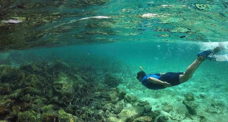 8 jours d'excursion sur les îles Galápagos "Santa Cruz et Isabela". - PERFECT DESTINY 4