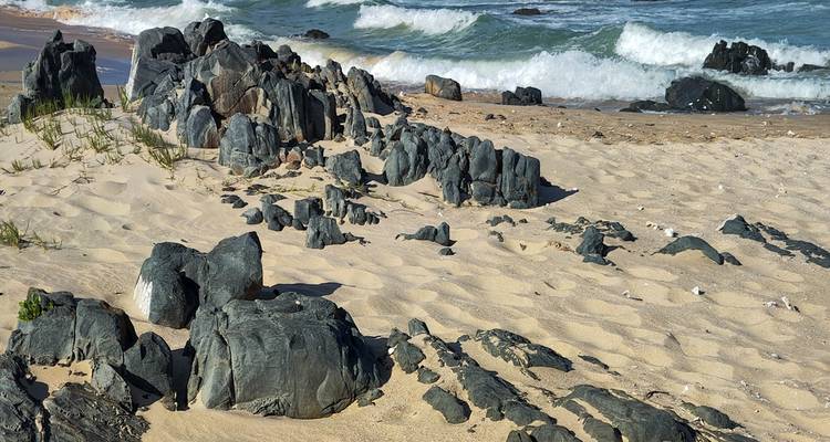 La beauté du Cap, l'aventure de la Route des jardins et l'exaltation d'Addo - Wonderful Holidays UK 4