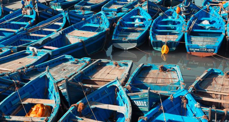 Une collection de bateaux de pêche bleus amarrés dans un port.